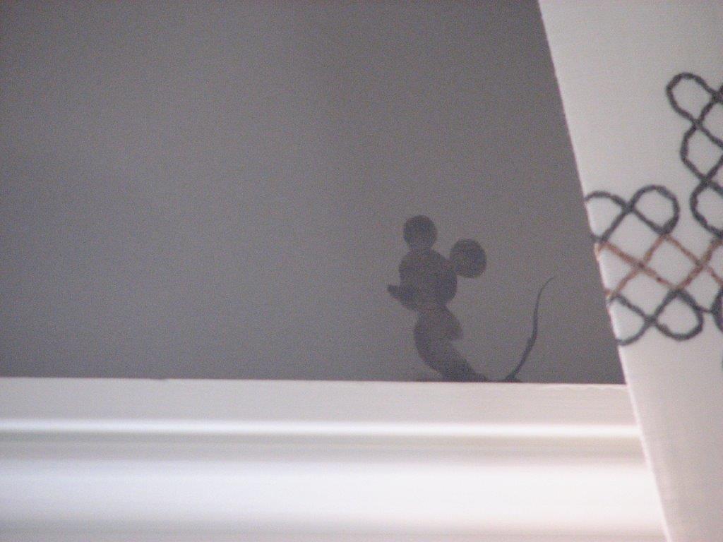 Hidden Mickey
